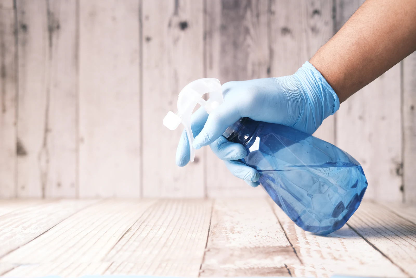 Professional cleaning team at work